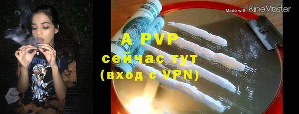индика Кодинск