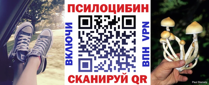 Псилоцибиновые грибы Psilocybe  Оха 